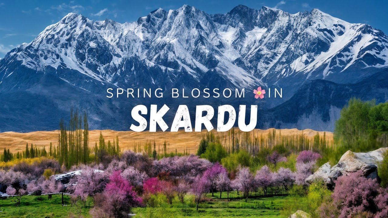 Spring Blossom in Skardu Pakistan | Quantum Colours of Nature in 4K