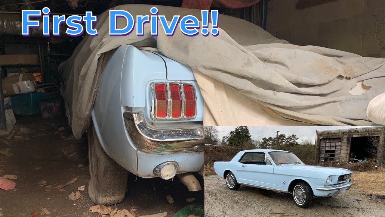 FORGOTTEN Ford Mustang Under House for 21 Years! Rescue Part 2