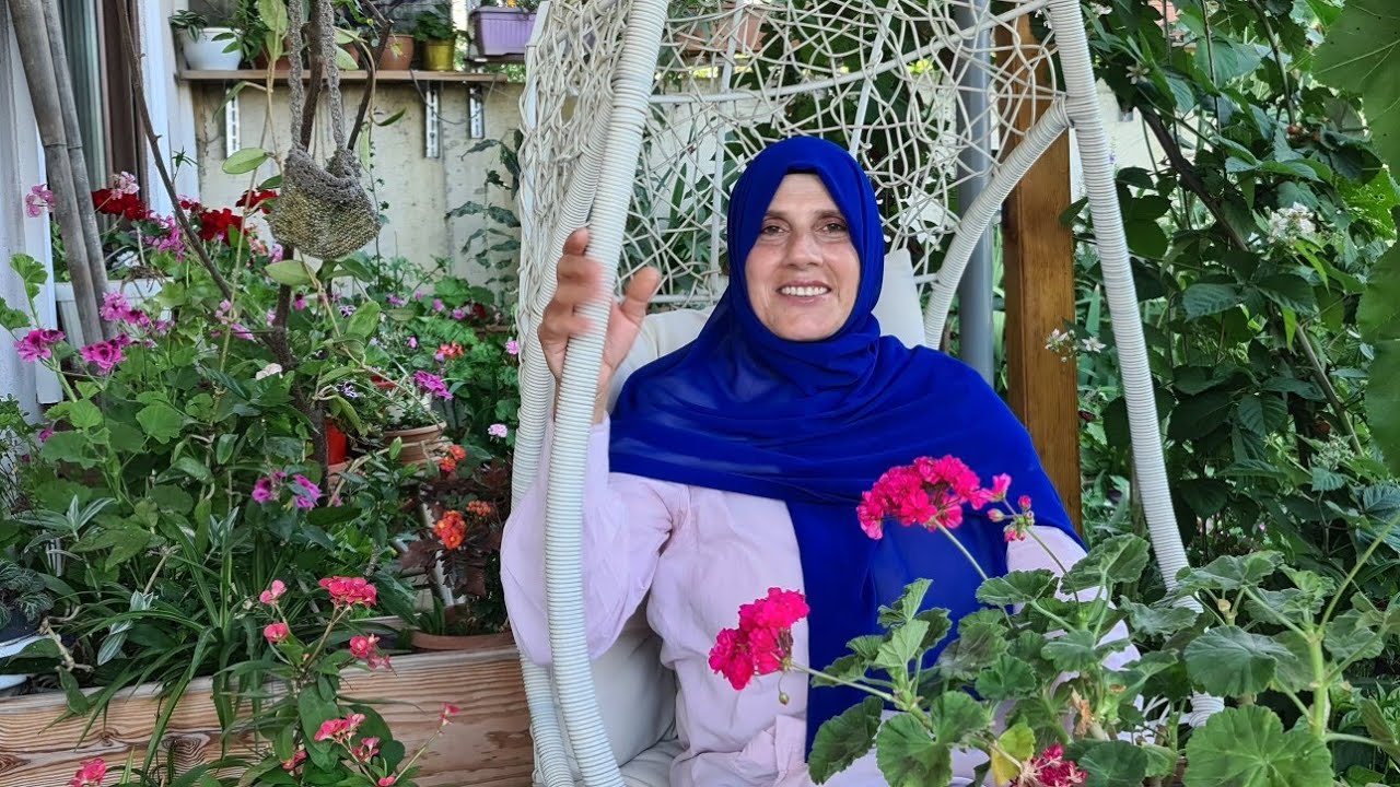 Bahçemdeki Mavi huzur Lobelya, Vapur dumanı, Gazanya