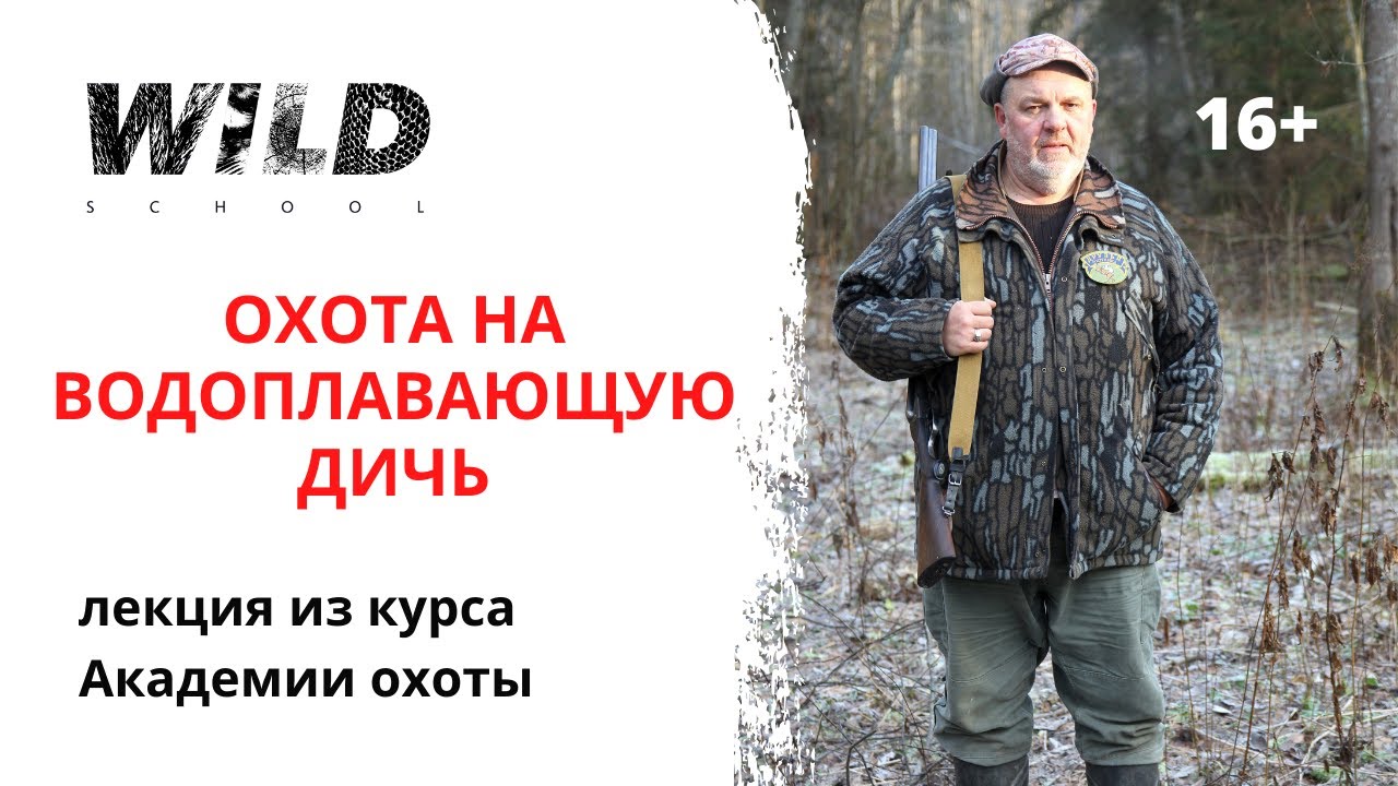 Охота на водоплавающую дичь