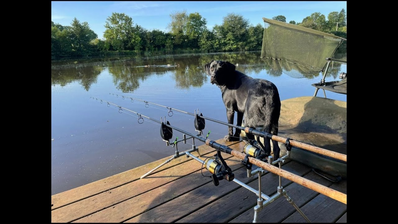 Session Carpe EMLO Gelles (63)