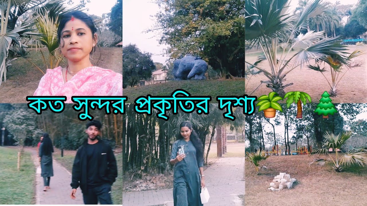 রাধে রাধে 🙏 চার পাশের এত সুন্দর সুন্দর প্রকৃতির দৃশ্য দেখেই মন শান্ত আমার সাথে সাথে তোমরা ও দেখো 🏝🌲🌴