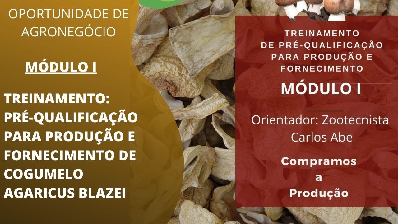 Treinamento Pré-Qualificação Cogumelo Agaricus blazei Modulo I