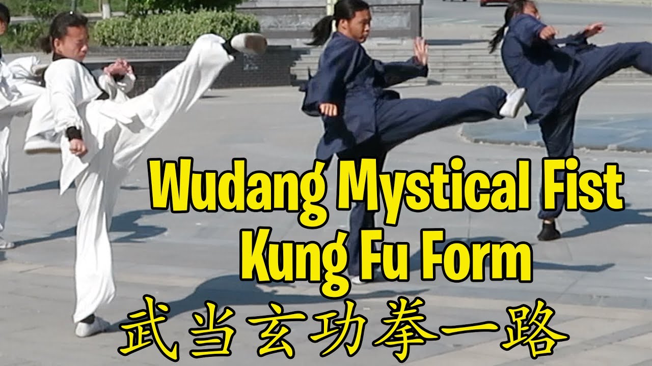 Wudang Xuan Gong Quan Yi Lu - Group Performance - 武当玄功拳一路