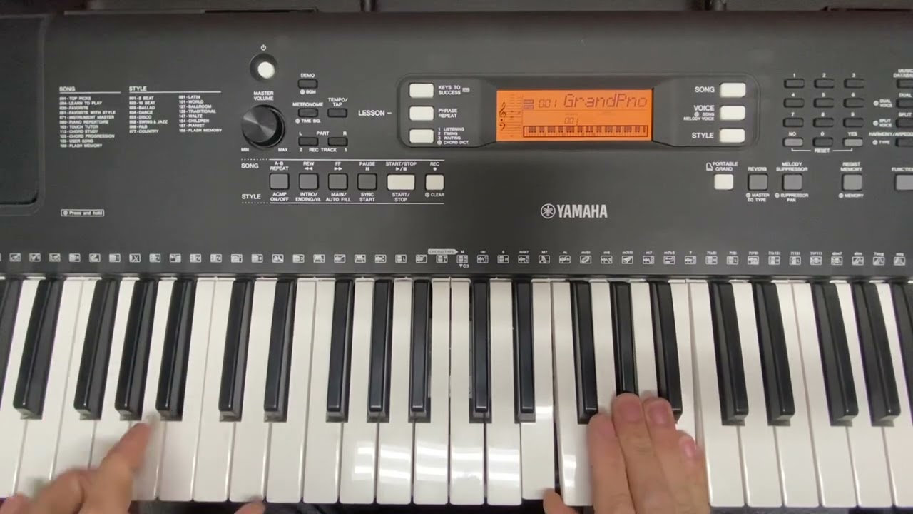 🎵Songo Coro🎶 con la Sombra de Pedro