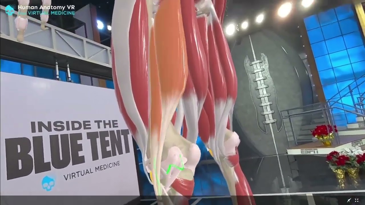 Inside the anatomy of Patrick Mahomes' knee injury with ESPN #nfl   #patrickmahomes   #anatomy