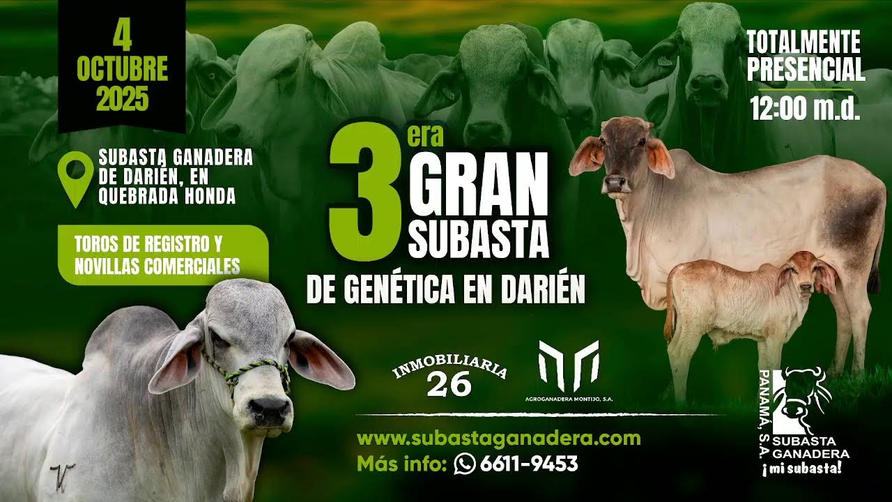 TERCERA GRAN SUBASTA DE GENETICA EN DARI&Eacute;N