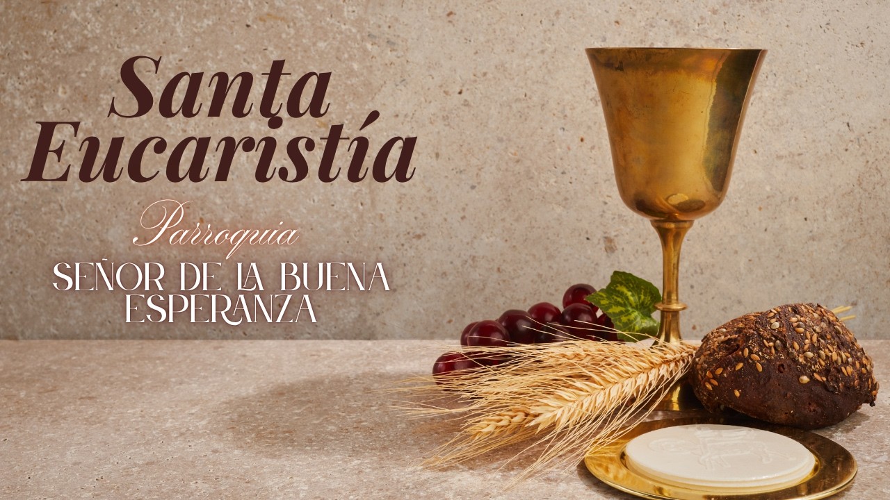 Eucaristia domingo Feb 15