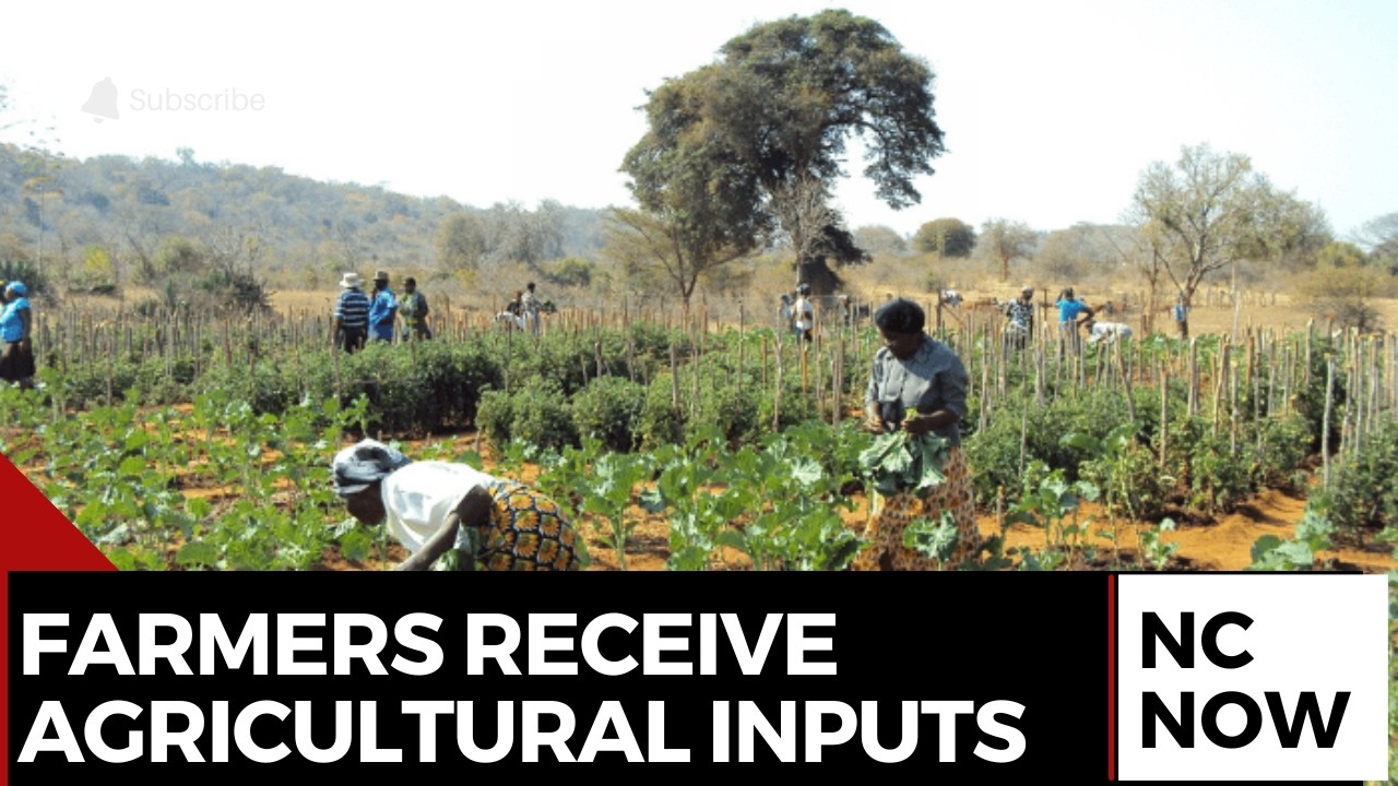 Nigeria Steps Up Efforts to Support Smallholder Farmers