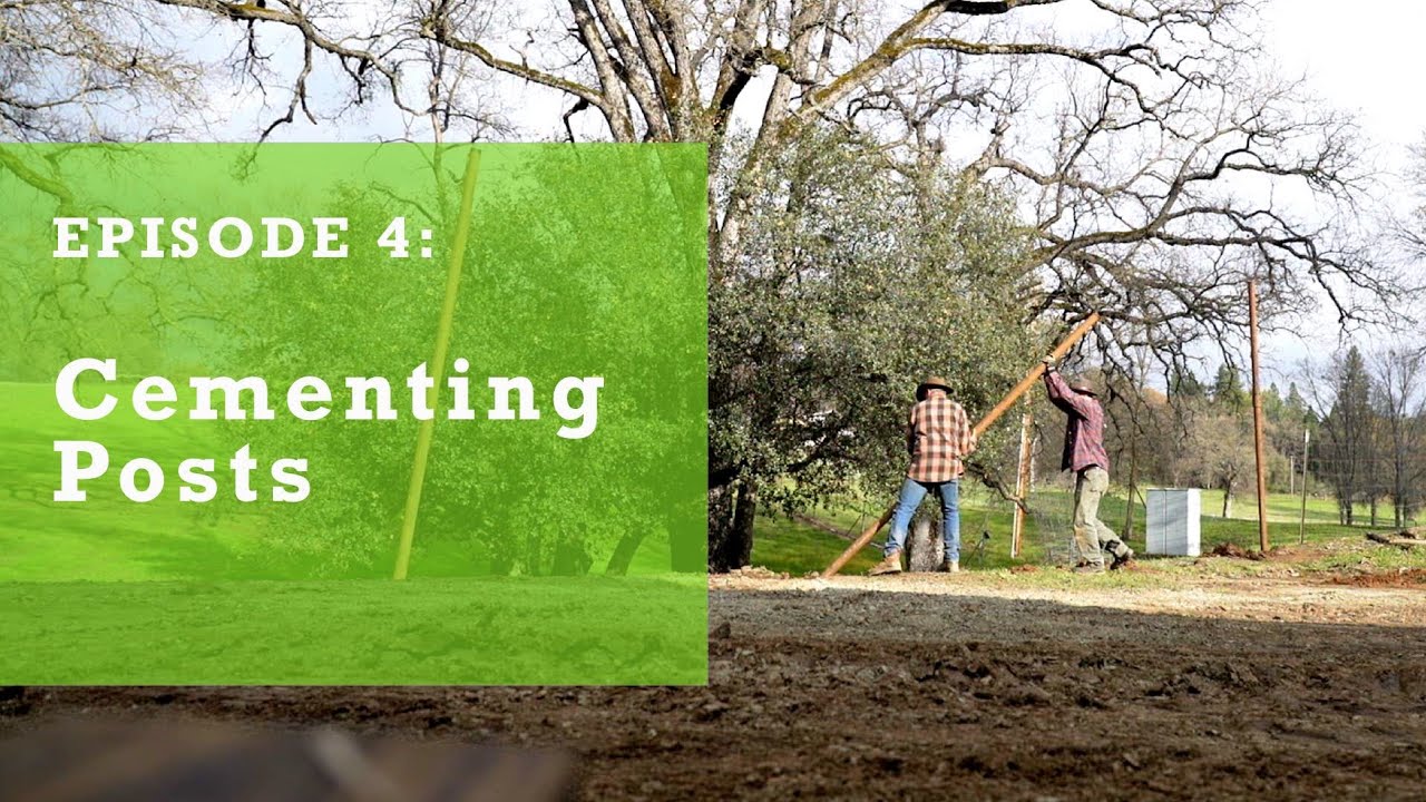 Ep 4 - Cementing Fence Posts in Place