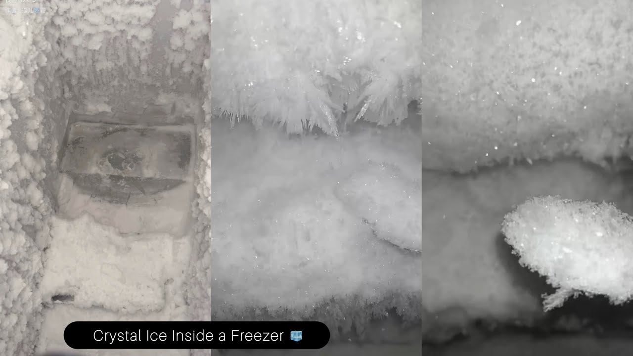 Frozen Freezer 😋 Deep freezer frost formed naturally ❄️Feather-like ice crystals 😌 Real ice 🧊ASMR ❤️