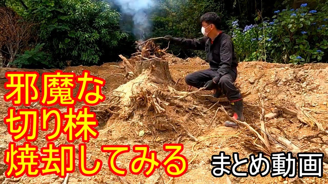 切り株　焼却処分　邪魔な切株を燃やして除去、処理方法