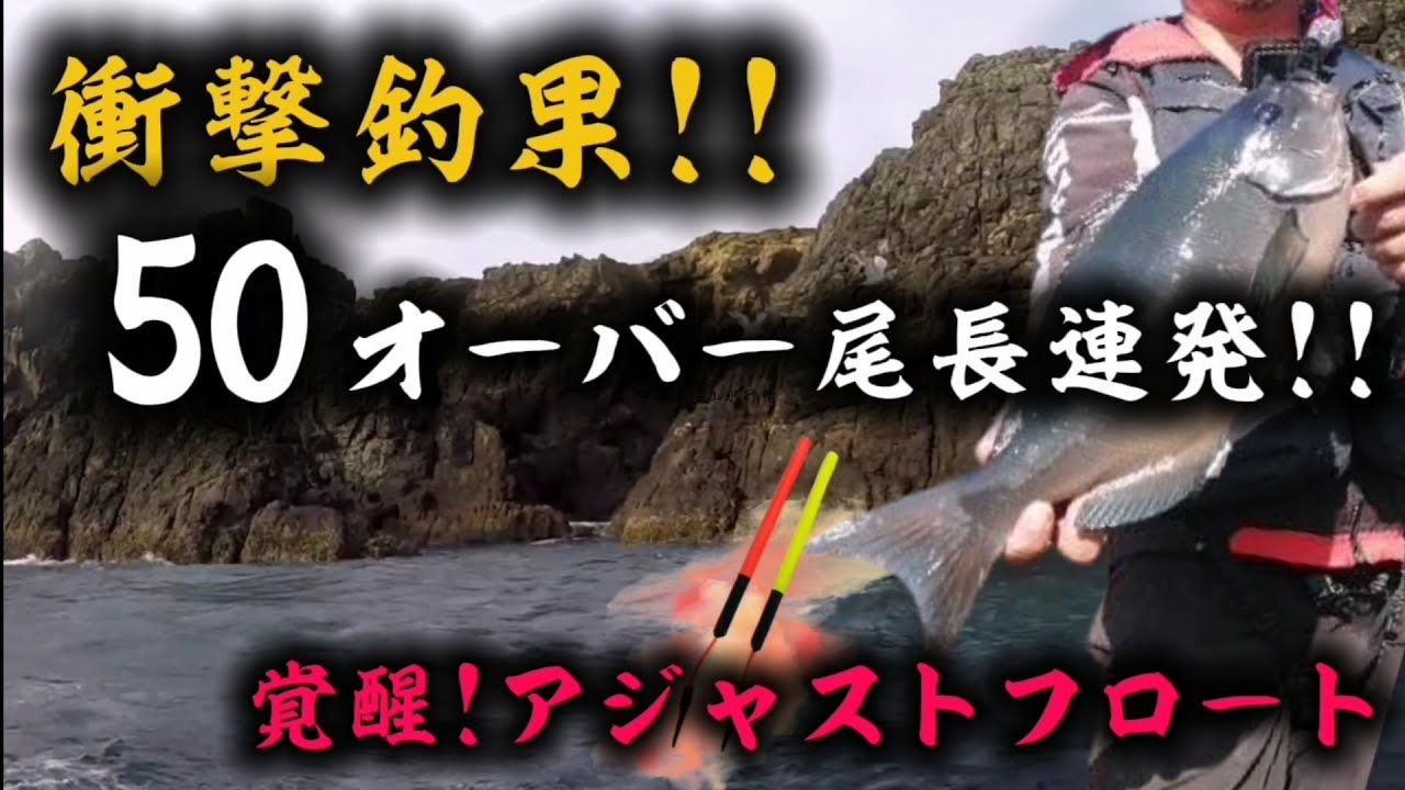 【衝撃釣果】秋の鵜来島で尾長53cm含む50オーバー連発！アジャストフロートが覚醒した日