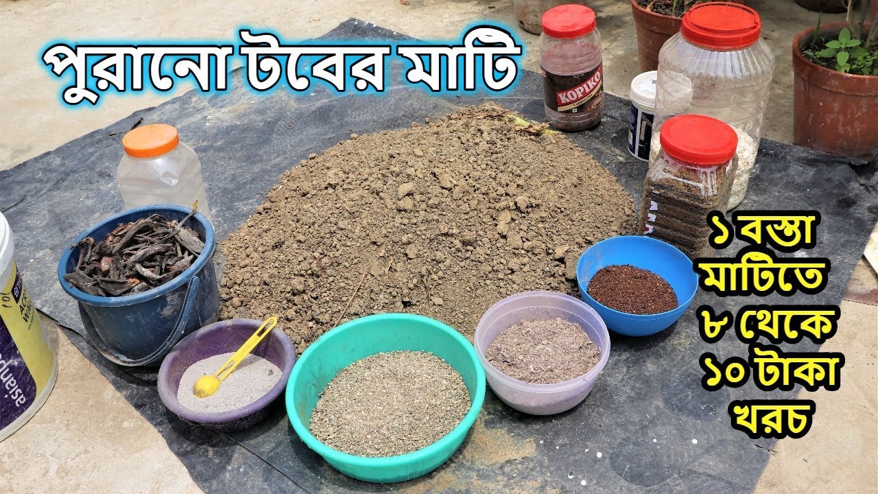 পুরানো টবের মাটি আদর্শ ও রোগ মুক্ত করে কয়েকগুণ শক্তিশালি করার পদ্ধতি || Revitalize old Potting soil