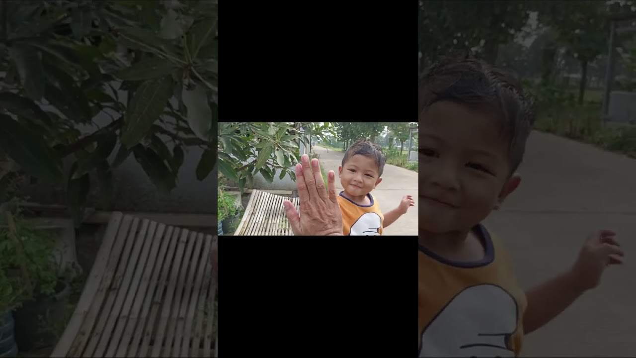 Bunglon kebun #triokrucil #bunglon