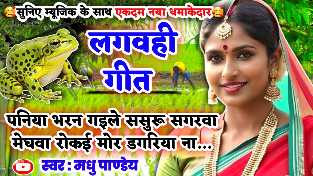 #Video एकदम नया धान रोपनी गीत धमाकेदार dhan lagvhigeet/पनिया भरन गइले ससुरू सगरवा होना / #kajarigeet