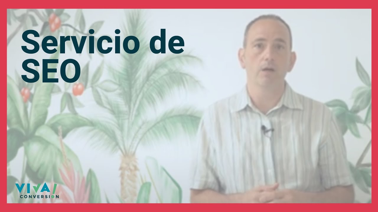 Agencia de SEO - VIVA! Conversion