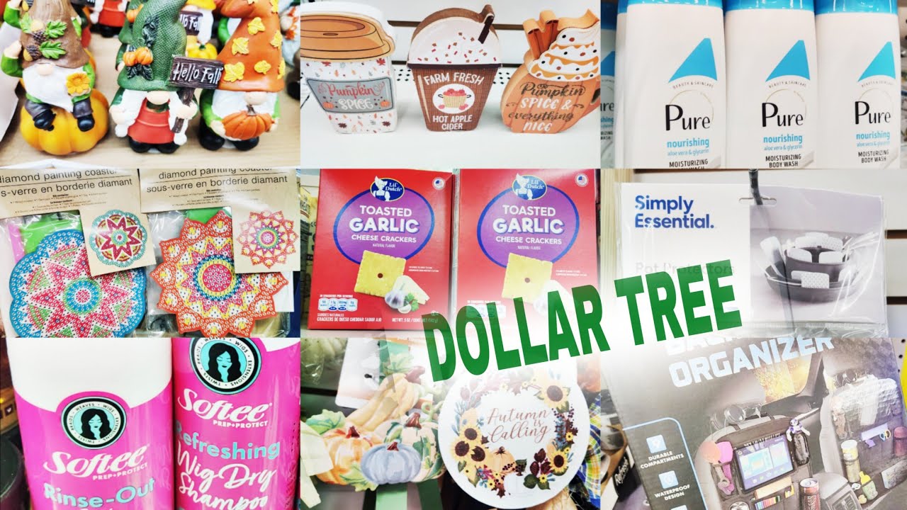 DOLLAR TREE NEW AMAZING FINDS THAT WON'T LAST LONG!