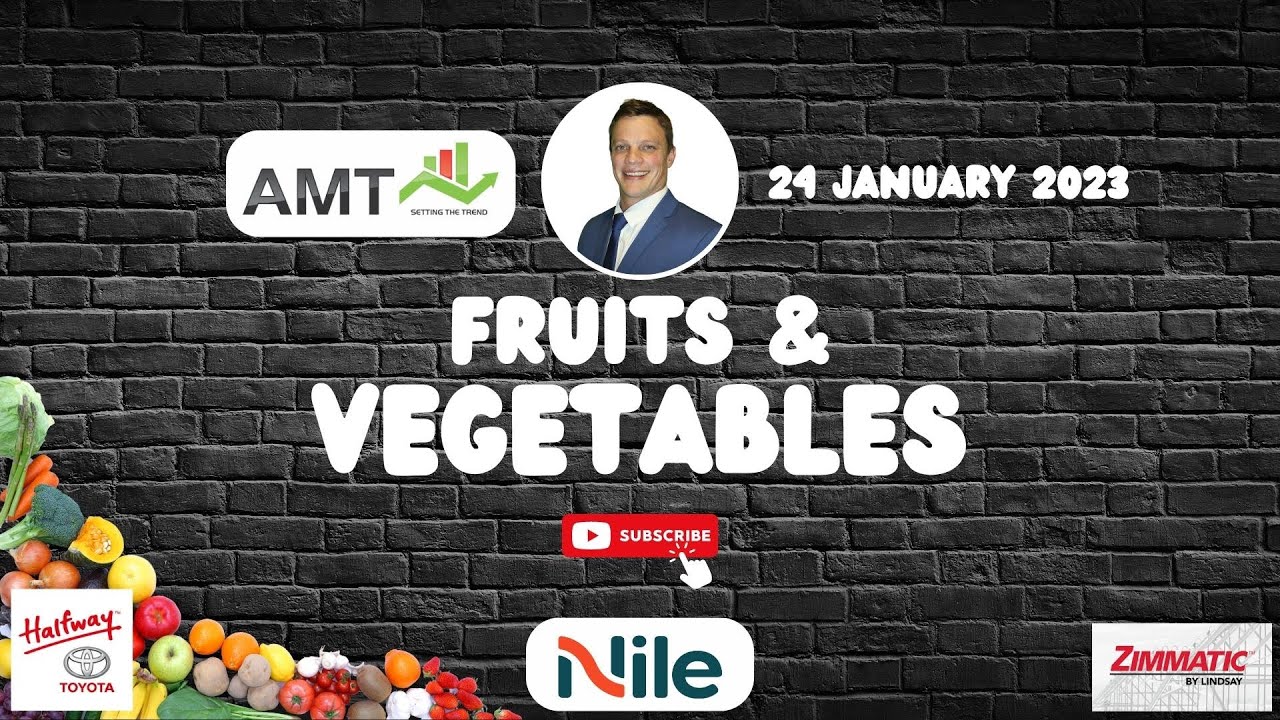 Potato and Onion prices DOWN, but TOMATO prices can increase | 24 January 2023