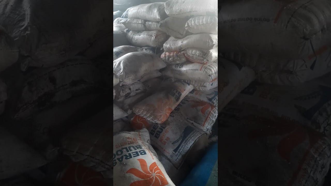Garam kasar (bahan baku pembuatan garam tradisional bali) #shortvideo #fyp #garambali #garam #viral