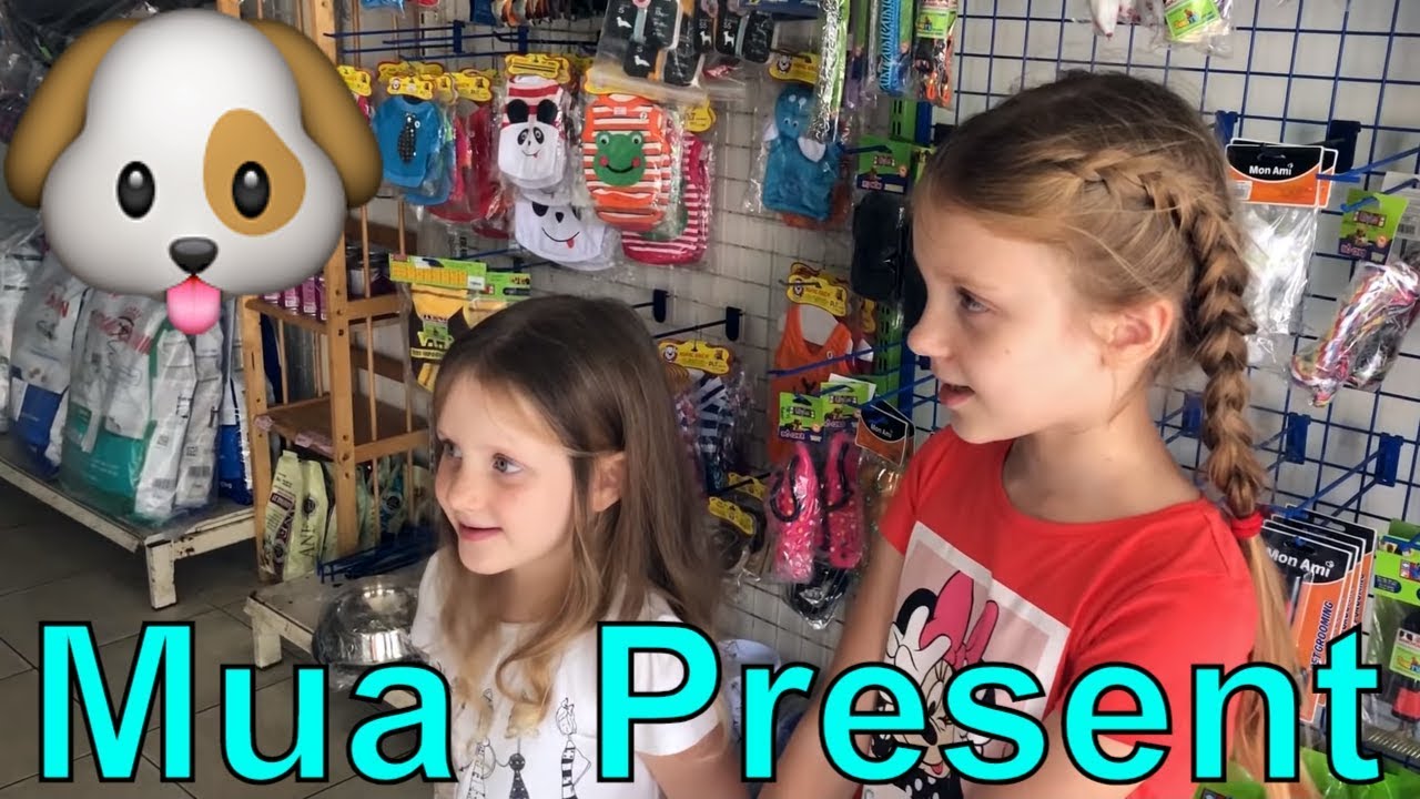 Present for Chelsi. Stefi v&agrave; Emi t&igrave;m cửa h&agrave;ng th&uacute; cưng ở Vũng T&agrave;u để mua qu&agrave; cho con vật nu&ocirc;i