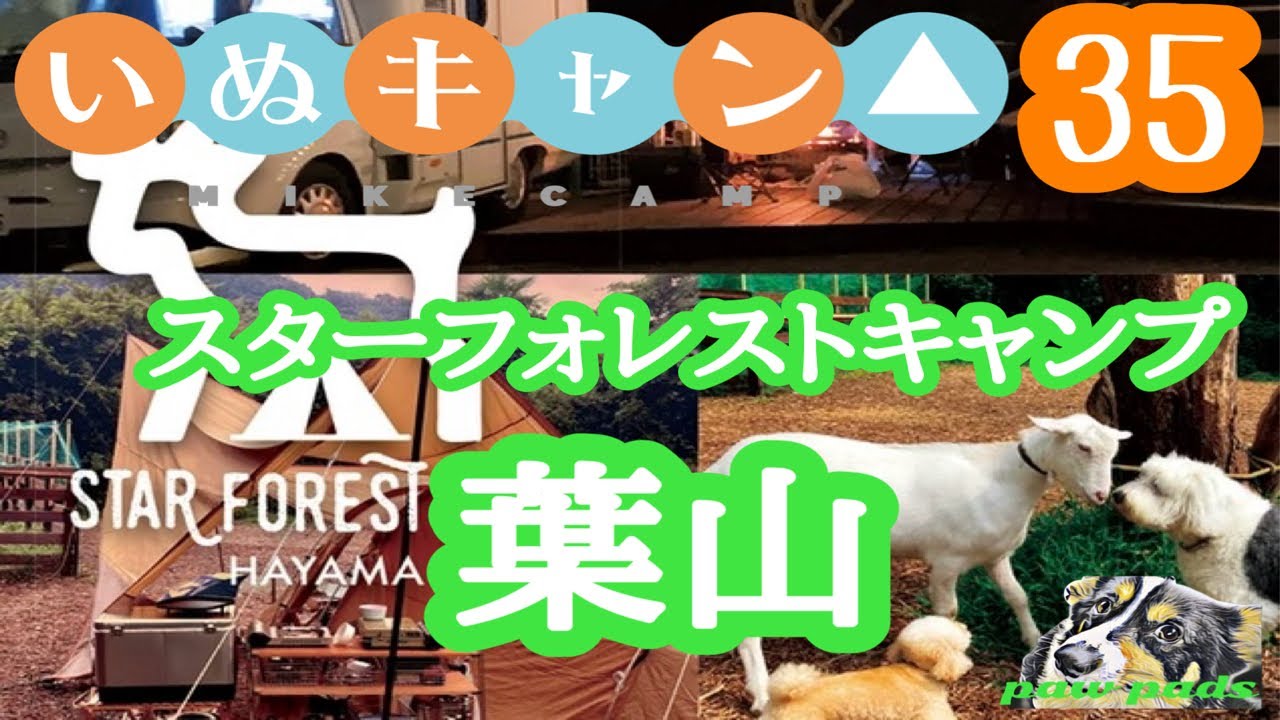 スターフォレストキャンプ葉山　神奈川県の高規格ドッグフリーサイト　いぬキャン35