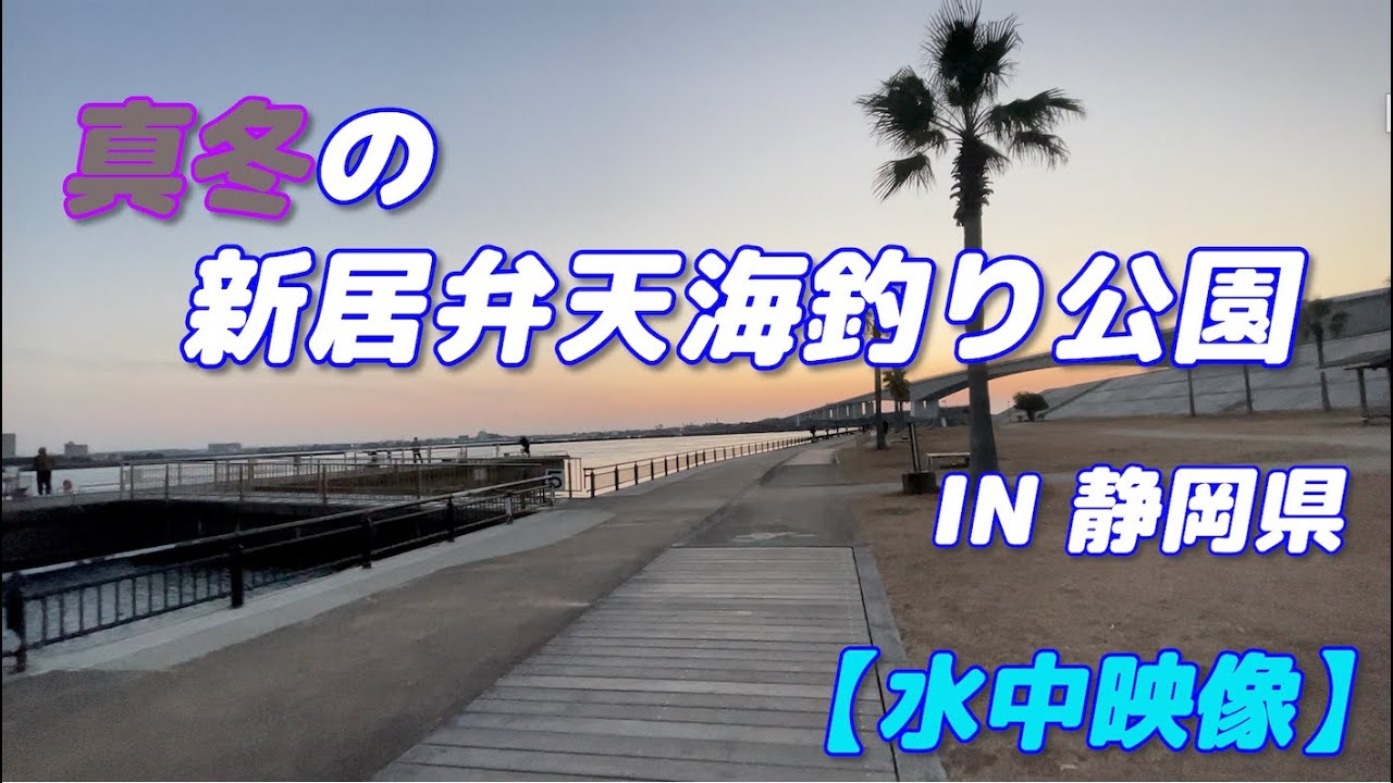 【水中映像】1月の新居弁天海釣り公園 静岡県