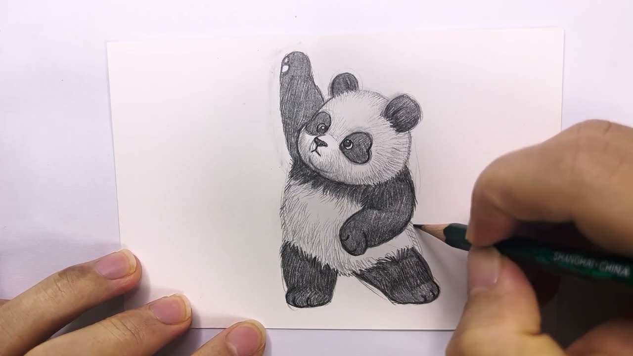 Draw panda Day 129｜pencil sketch