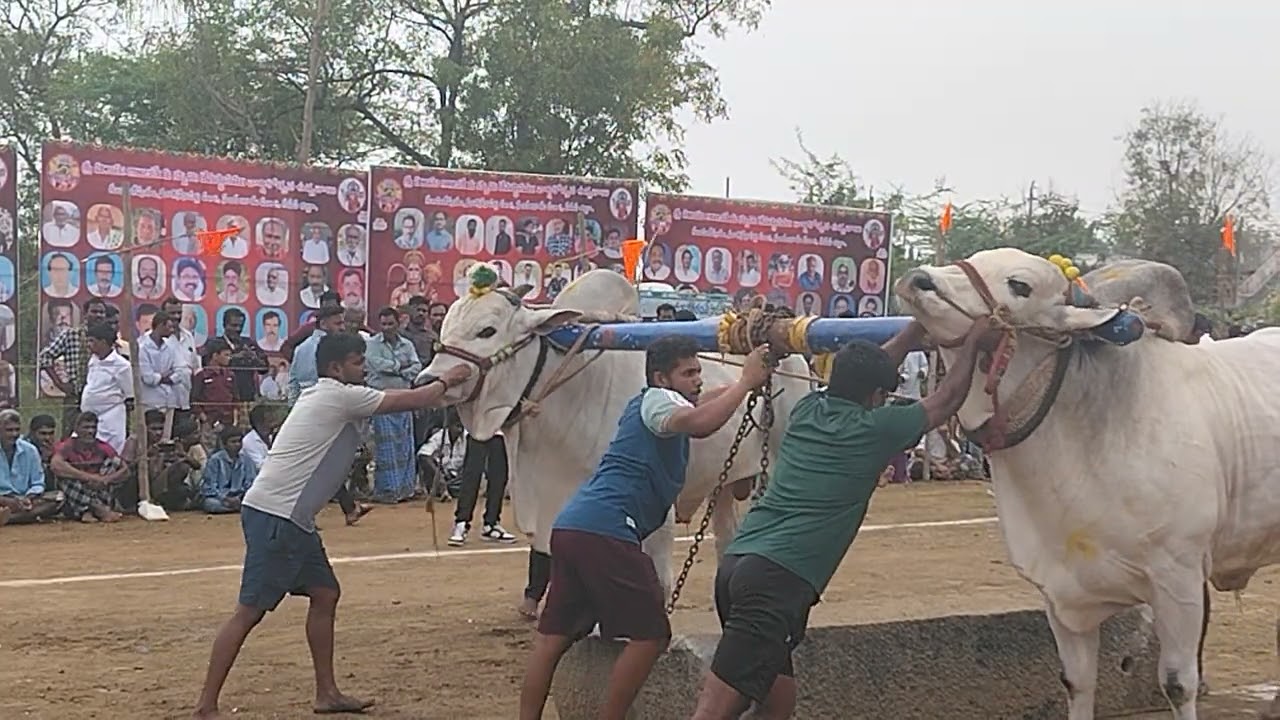 కుంఫినిపురం ఓల్డ్ కేటగిరి మూడో ప్రైజ్ 40000 