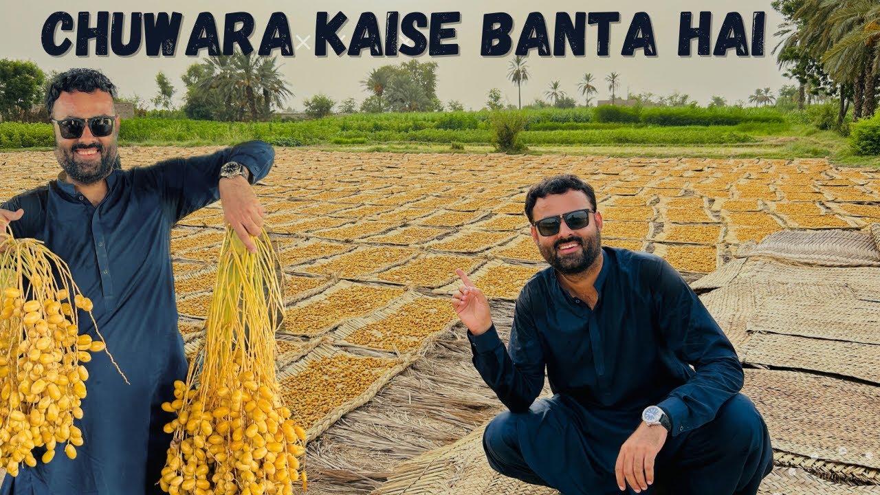 Khairpur ki Khajoor | Largest date processing in Khairpur Sindh |