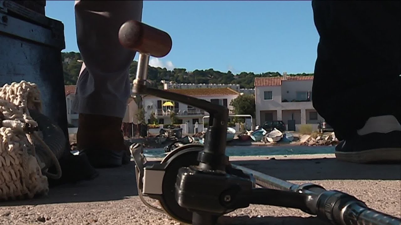 S&egrave;te : la police confisque le mat&eacute;riel des p&ecirc;cheurs de daurades