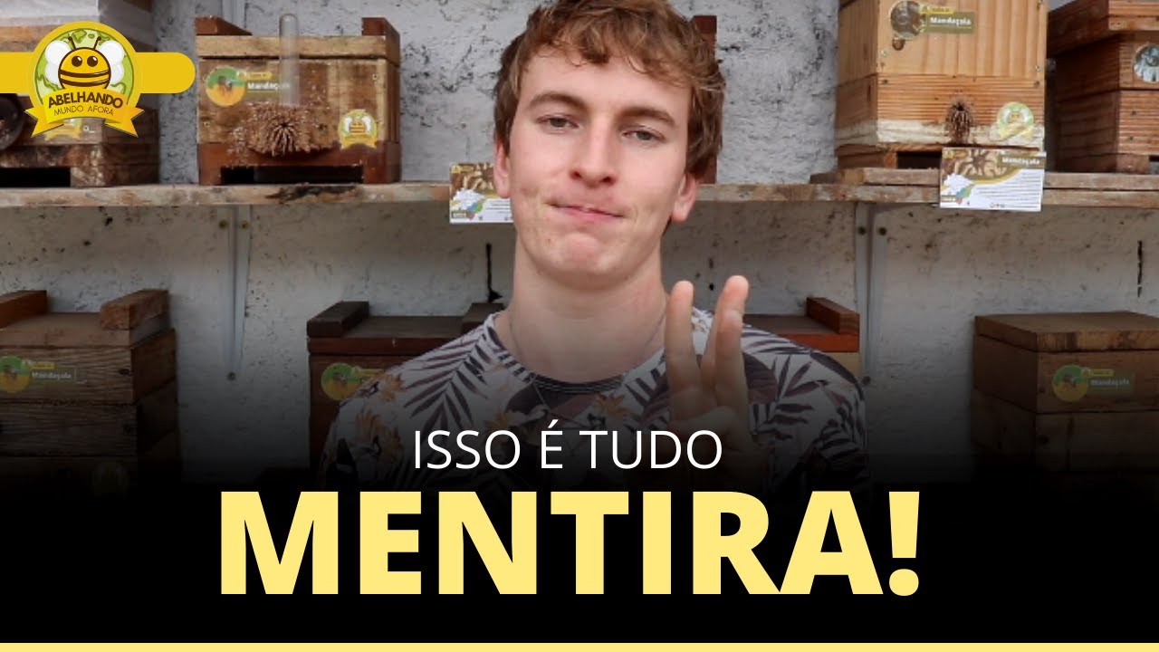 AULÃO Pré-Maratona: 3 MITOS que te IMPEDEM de ser um Meliponicultor!