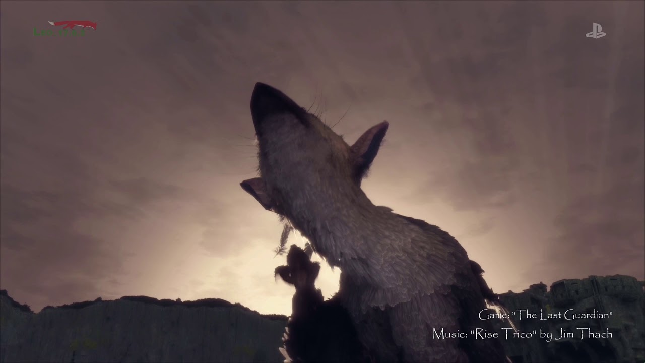 Trico [Tribut]
