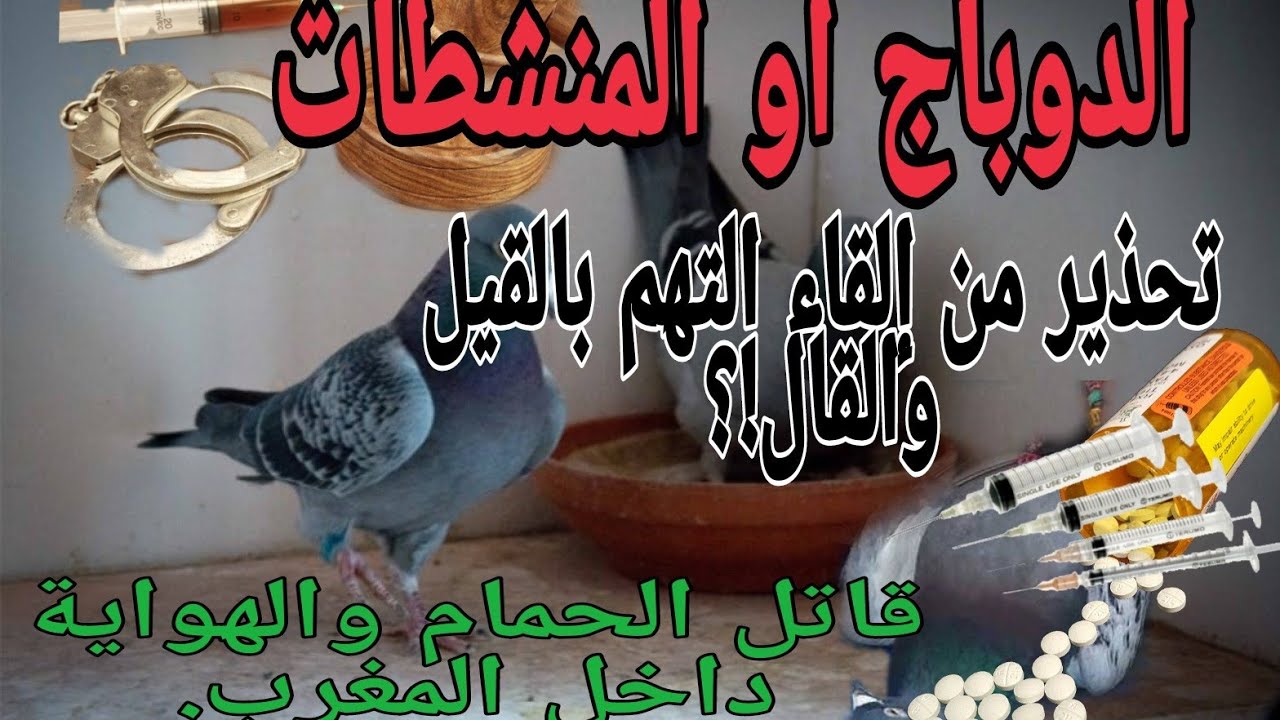 أخطر شيء يهدد الولاعة داخل المغرب (المنشطات) #دوباج #المنشطات ورمي التهم بدون دليل.
