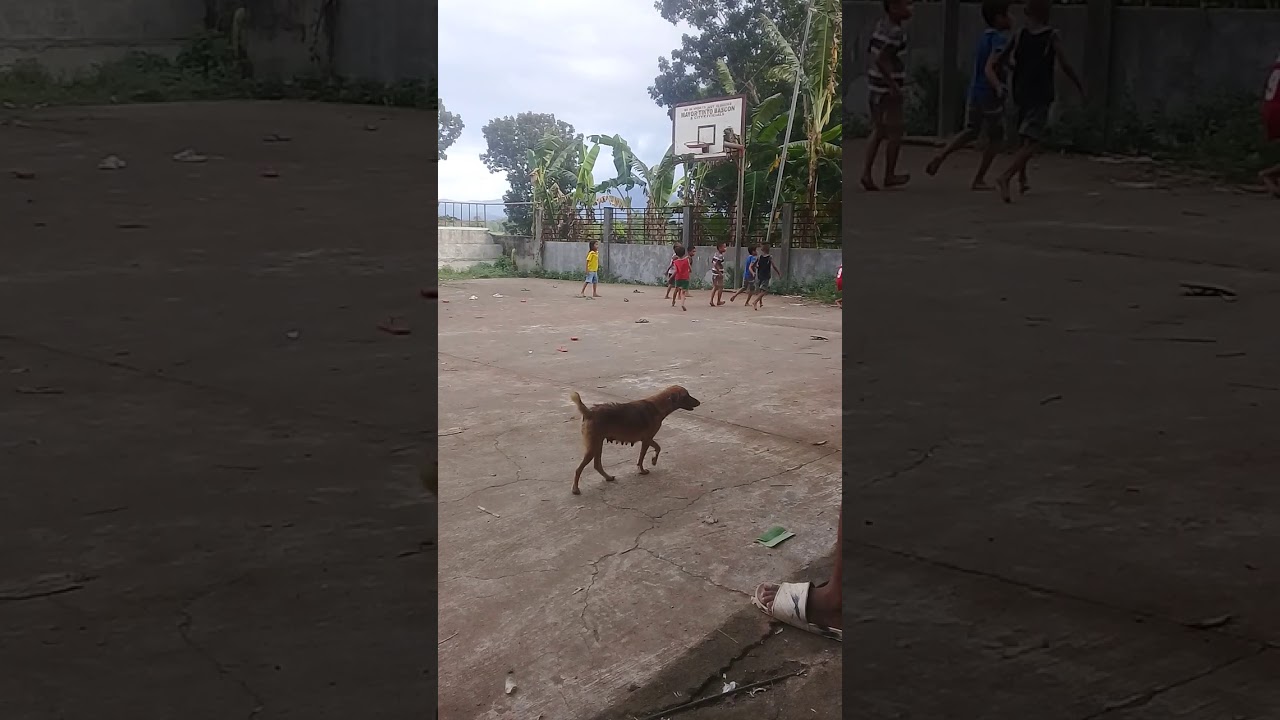 walang batas dito