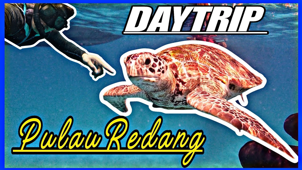 DAYTRIP PULAU REDANG TERENGGANU!!! 6 CHECK POINT YANG MENARIK SNORKELING BERSAMA PENYU ~ travelog