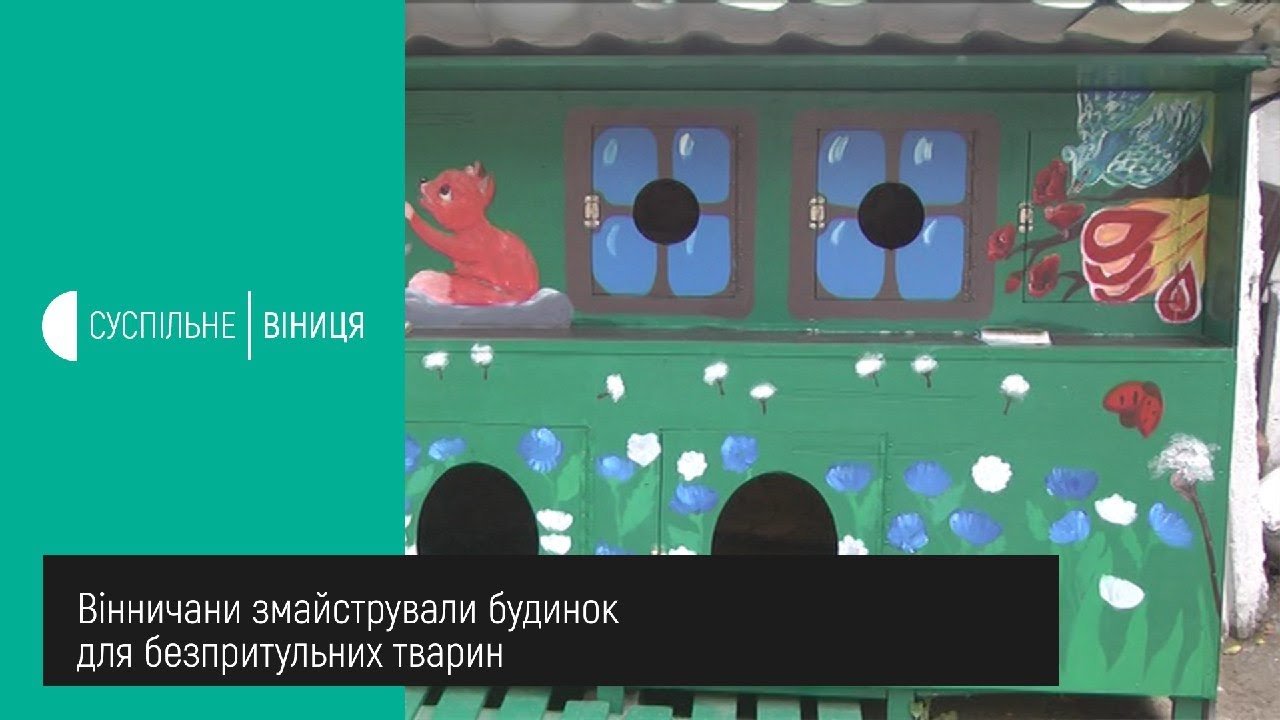 28.07.2020 Вінничани змайстрували будинок для безпритульних тварин