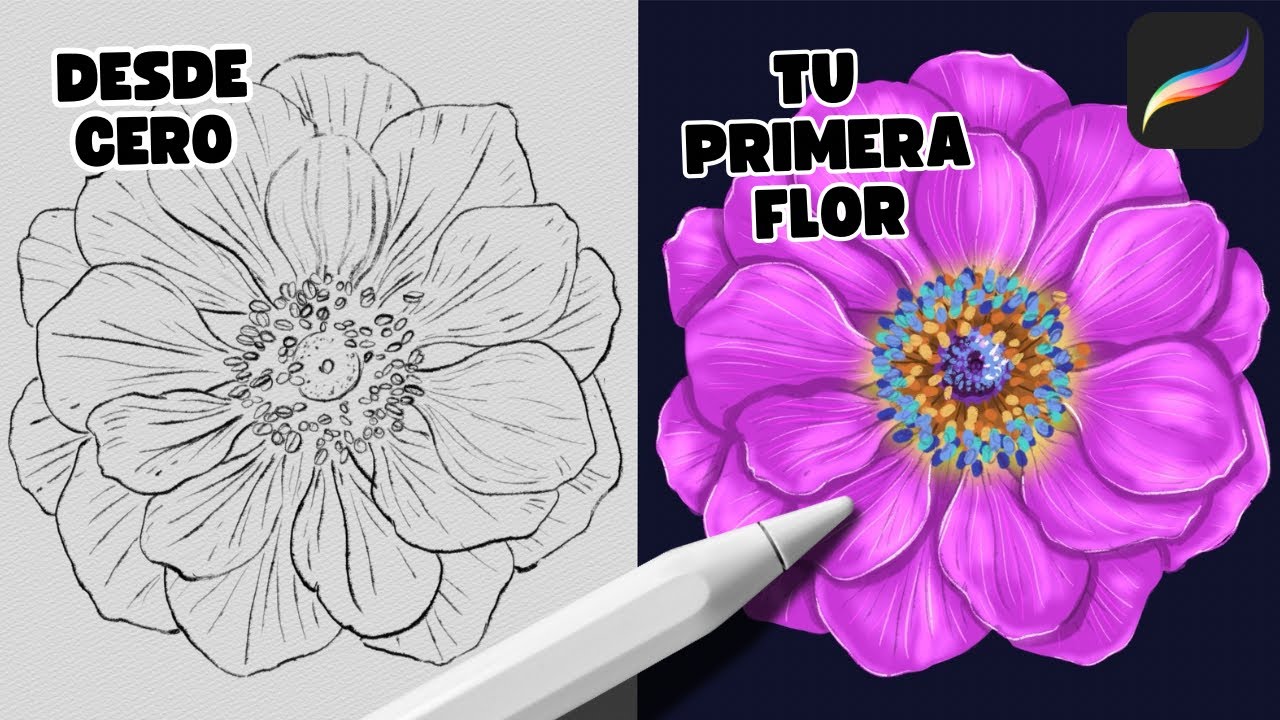  Tu primera flor realista en Procreate 🌸 Desde cero para principiantes