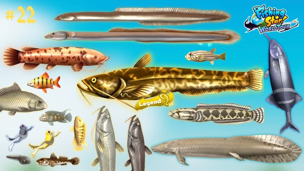 Fishing Star World Tour : Catch All Fishes In The World #22
