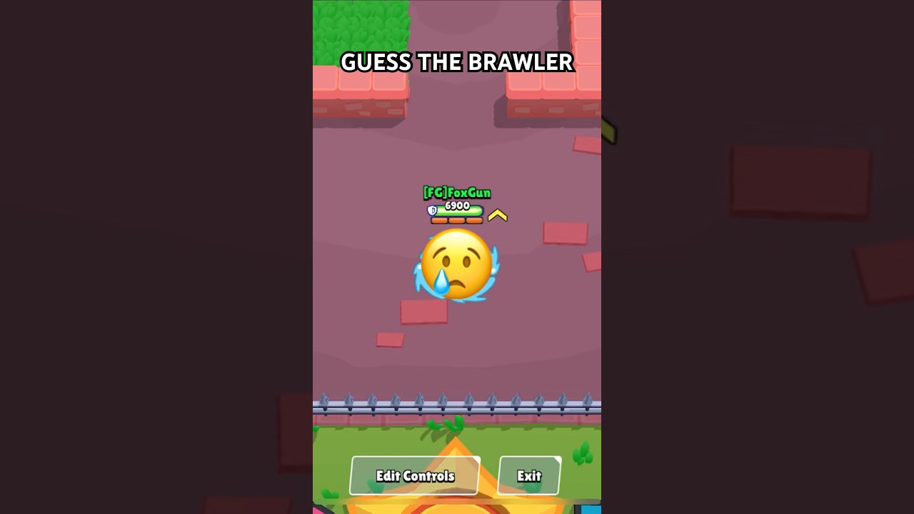 Guess The Brawler 