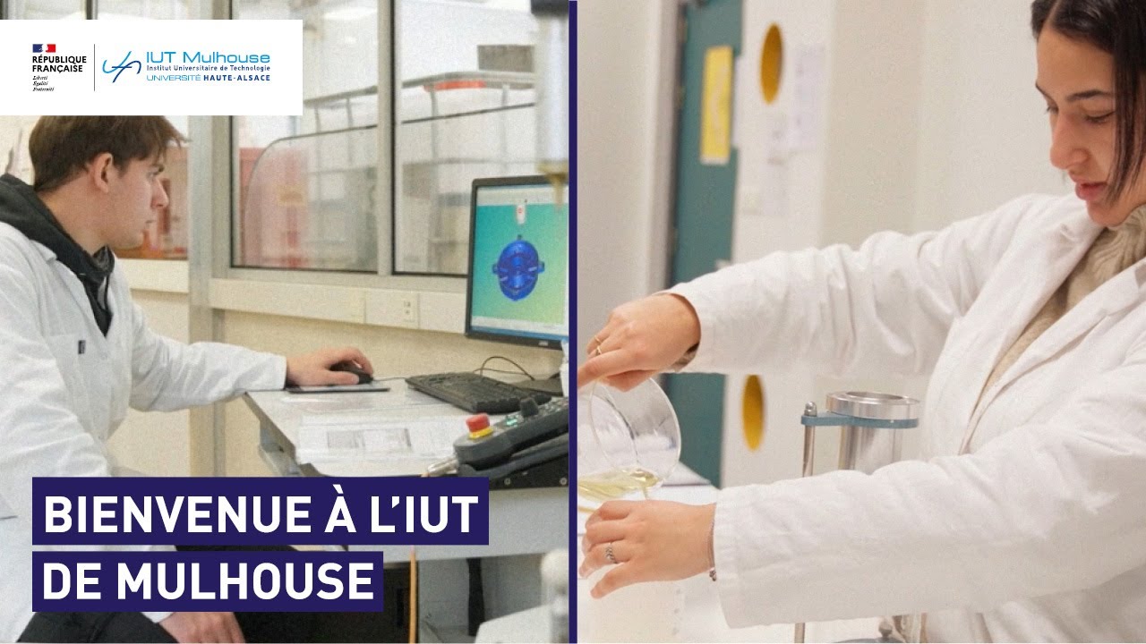 IUT de Mulhouse | Présentation et offre de formation