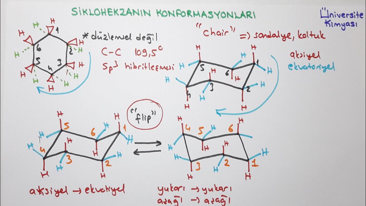 ORGANİK KİMYA|Siklohekzanın Konformasyonları