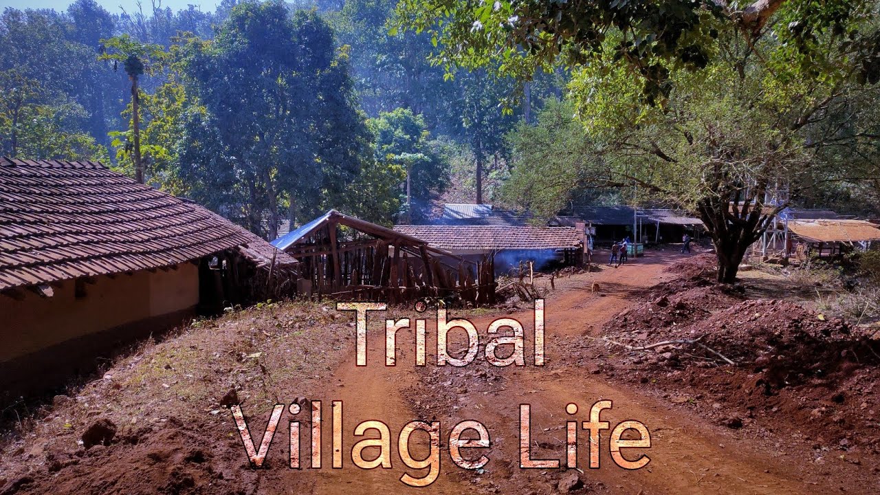 Odisha tribal village life #odisha #odishatourism #villagelife #tribalvillage @Ajnabeeamar9386