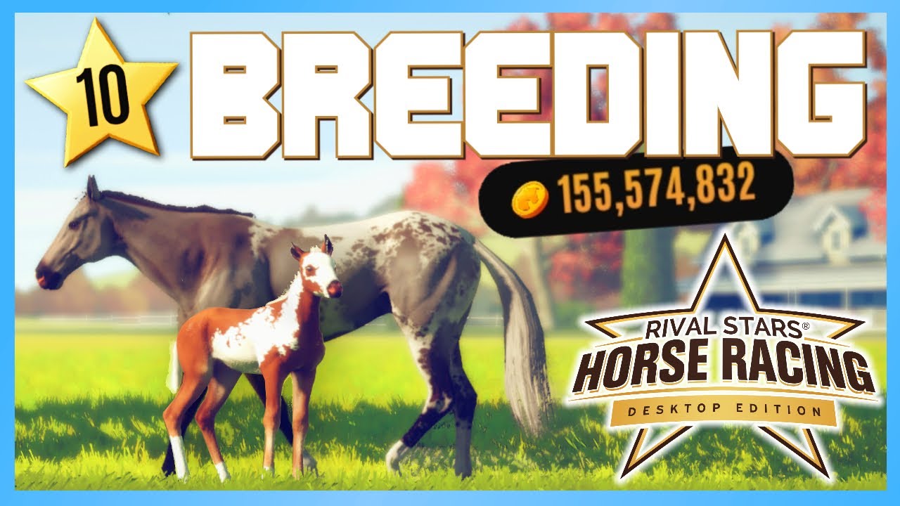 RIVAL STARS BREEDING GRADE 10 RARE COATS - SPENDING MILLIONS - Rival Stars (Desktop Edition)