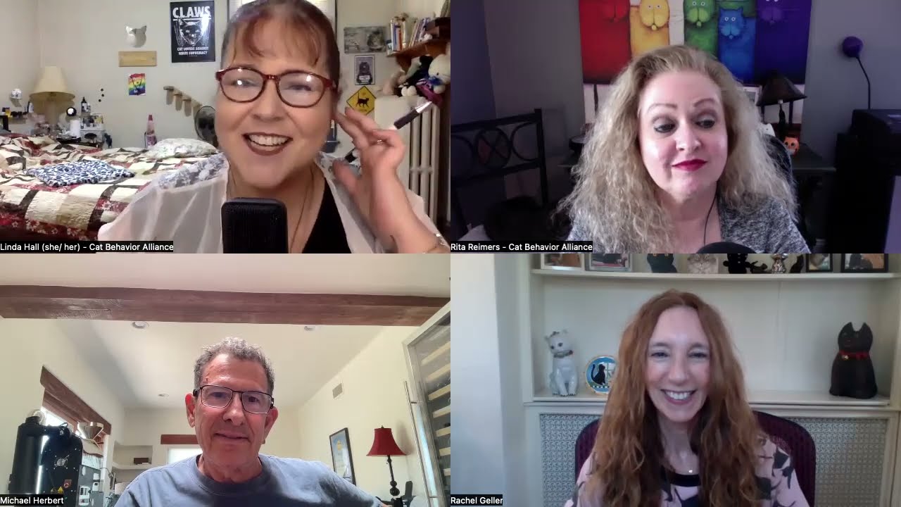 Feline Non-Recognition Aggression with Dr. Rachel Geller