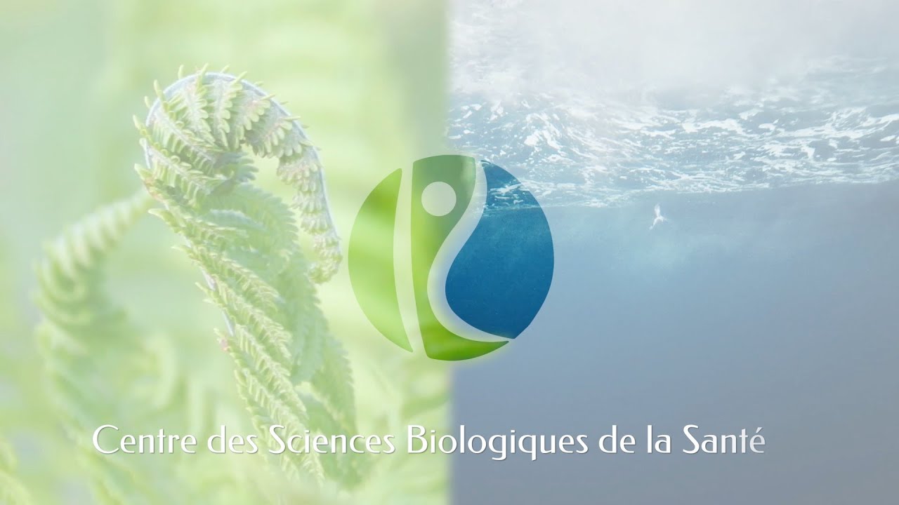 Eau de mer : Suite des réponses et des applications (partie 2)