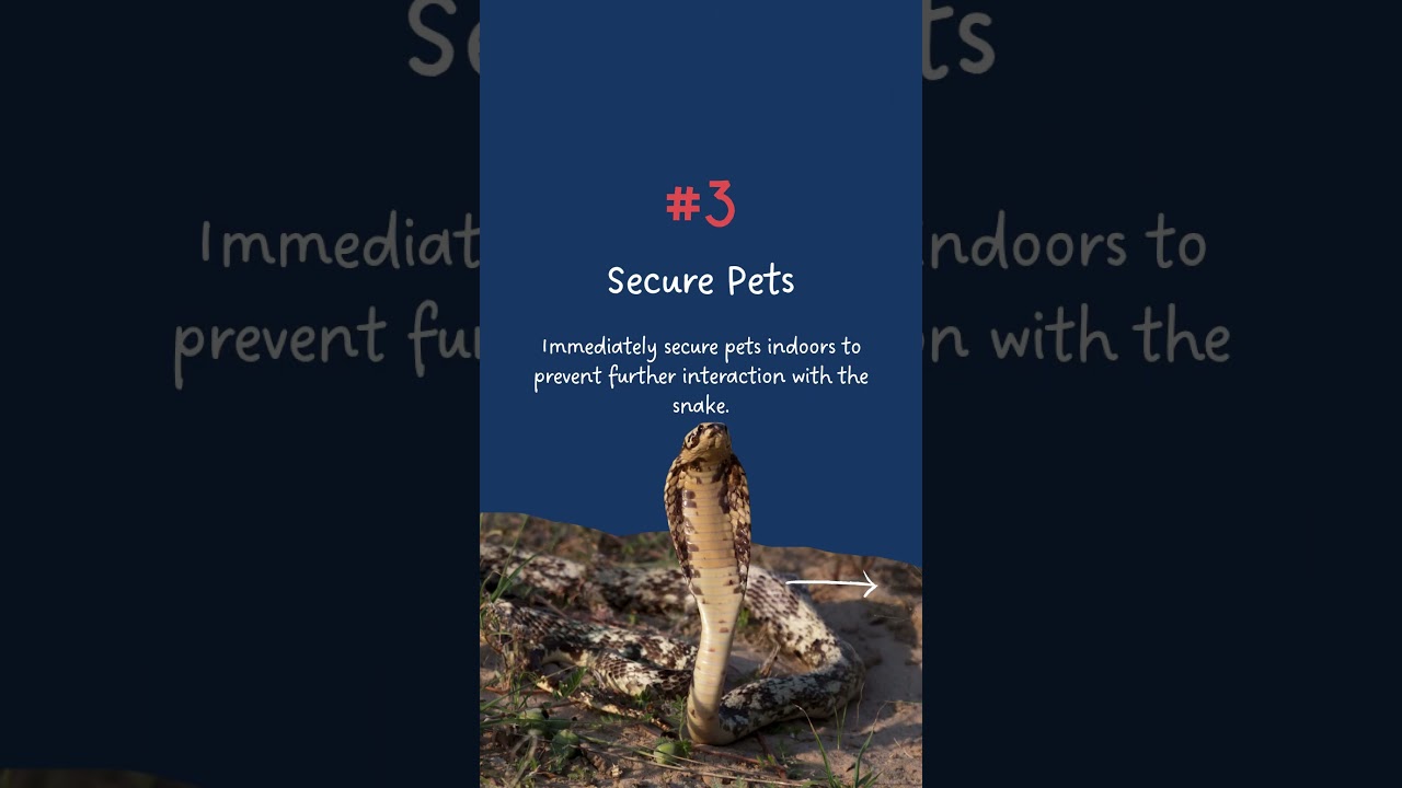 🐍 Don&rsquo;t get rattled! Tips for Snake Bites!