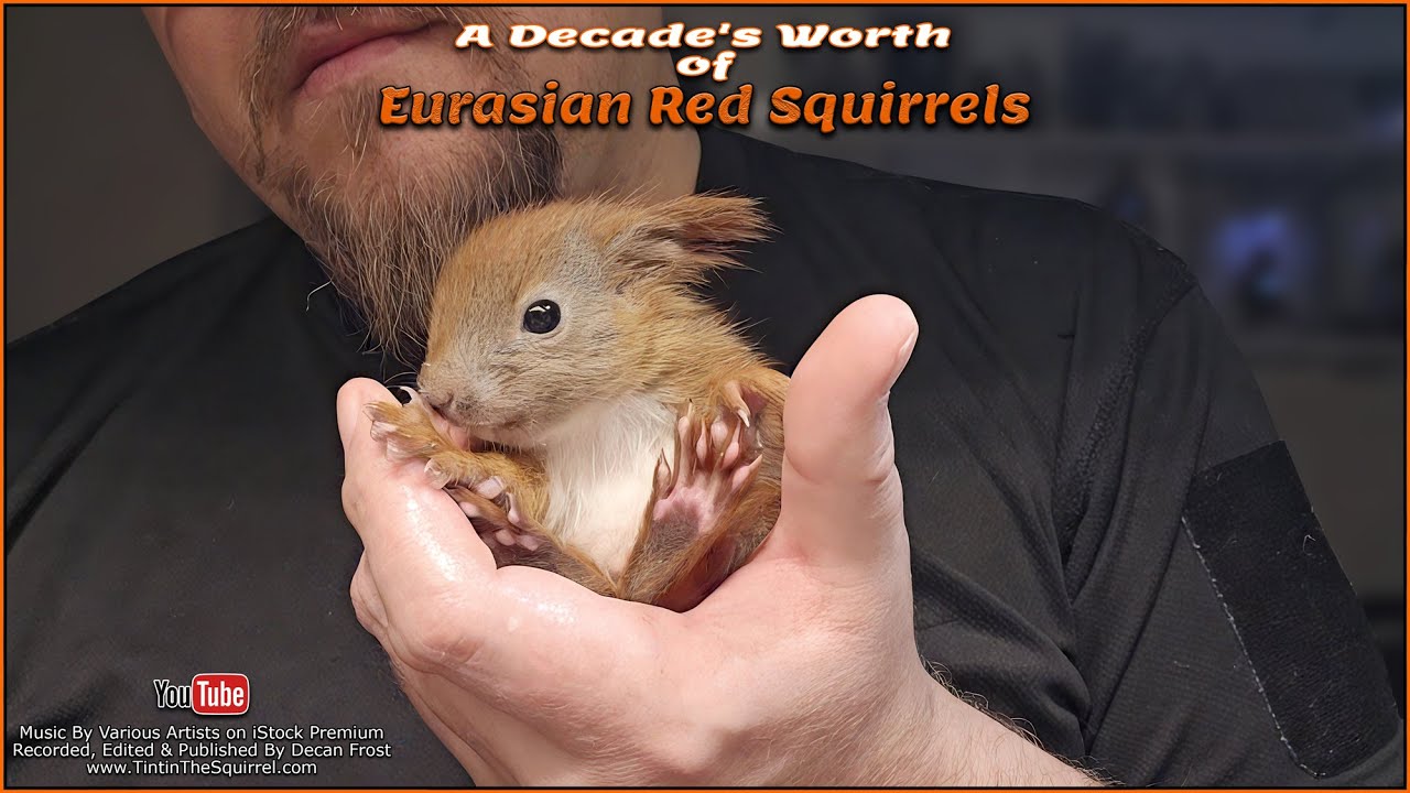 A Decade's Worth of Rescues