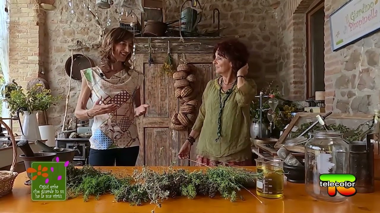 Ogni erba che guarda in su ha la sua virtù - erbe spaghetto
