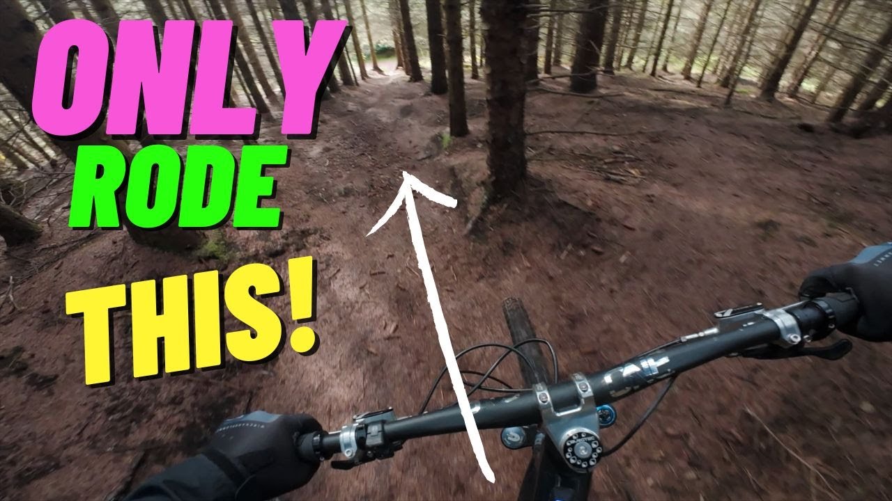 Сеанс на одной трассе MTB